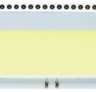 Backlight LED Display Visions Giallo-verde, 40 pin, 31 x 55mm