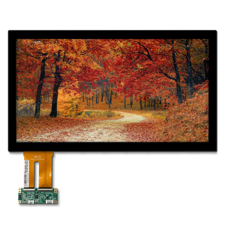 Display LCD a colori AUO, 18.5poll, interfaccia LVDS, RGB, 1920 x 1080pixels