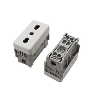 Presa Bivalente Frutti bianco compatibile con Gewiss system