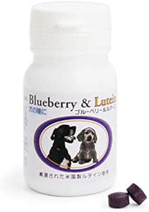 Nippon BF Blueberry & Rutin, 60 Tablets