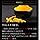 ANFA Scalp D Gold 5α-R (Five Alpha Earl) Saw Palm, 240 Capsules