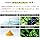P3 NMN Hikaru Produced Supplement 9000mg (300mg per sachet) High Purity 99.9% Supplement Made in Japan Zinc Strong Multivitamin Amino Acid Mineral DHA EPA L-Cystine Alpha-Lipoic Acid 54 Types of Beauty Ingredients Highly Concentrated (30-day supply) (x 3)