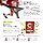 Junior Protein, Whey Protein, Grapefruit Flavor, 23.6 oz (675 g) (45 Doses), Elastin Formulation, WPI Formulation, Whey Protein