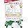 High Absorption Reduction Type Coenzyme Q10, 60 Capsules (60 Day Supply), 100 mg per capsule, Kaneka Ingredients, CoA Analysis Certificate, CELLFUEL from N.Y.