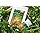 Nishihara Health & Lifestyle Research Institute Coriander Energy Gold [Bag Type 1] SOD Dietary Fiber Domestic Coriander 1 bag of 60 tablets (2-6 tablets per day) Birthday Present Popular Gift Popular Item (x 3)