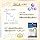 TOAMIT 5-ALA Supplement, Made in Japan, ALA SHIELD, 5-Aminorebric Acid, 30 Tablets, 5 Ala, 5 Ara, 5 Aminorebric Acid, Supplement, Amino Acid, Citric Acid, Drink Shield, Alpha Lipoic Acid Supplement, Multi Vitamin & Mineral (5 Month Supplement)