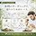 100% Organic Slippery Elm Bark Powder (Elm Tea) / Slippery Elm Bark Powder Ulmus Rubra Acanillus Calcium Flavonoid Stomach, Intestines, Throat, Skin, Ayurveda (3.5 oz (100 g)