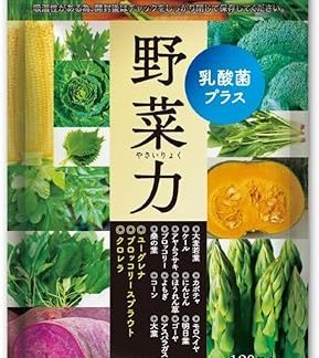 Healthy Family Vegetable Power, Lactic Acid Bacteria Plus, 120 Tablets, 15 Kinds of Domestic Vegetables, Euglena Chlorella, Broccoli Sprout, Vegetable Supplement