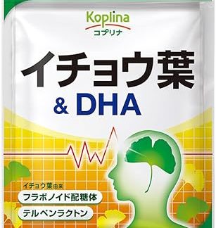 Ginkgo Biloba & DHA 60 Tablets, 30 Day Supply per Bag (Safe Domestic Manufacture/Flavonoid Glycoside/Terpene Lactone/Health/Supplement/Coprina)