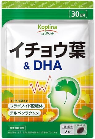 Ginkgo Biloba & DHA 60 Tablets, 30 Day Supply per Bag (Safe Domestic Manufacture/Flavonoid Glycoside/Terpene Lactone/Health/Supplement/Coprina)