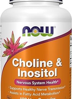 Choline & Inositol 500 mg (Health Care & Care Supplies)