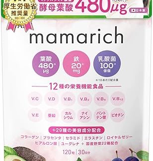 Folic Acid, 480μg, High Formulation, For Pregnancy, Pregnancy, Pregnancy, Supplement, Iron, Lactic Acid Bacteria, Zinc, Calcium, 12 Nutritional Functions, 10 Vitamins, 29 Beauty Ingredients, Collagen, Placenta, WADS