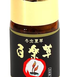 Winterworm Summer Plant, Willow Death, 100 Tablets (20 - 50 Day Supply), Made in Japan Cordsepine/Beta Glucan